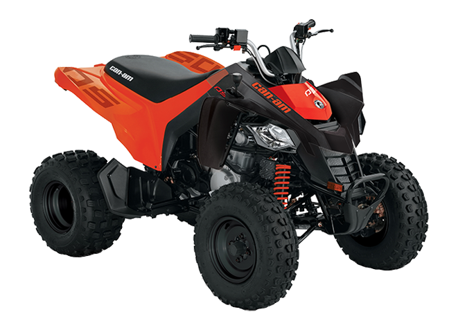 Квадроциклы DS BASE 250 2021