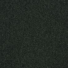 Ковровая плитка BALTIC 43